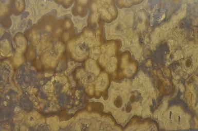 Honey Onyx